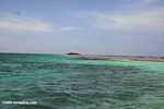 Island off Blackbird Caye