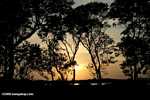 Sunset on Blackbird Caye [belize_0283]