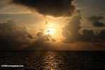 Sunrise over the Caribbean seen from the beach of Blackbird Caye