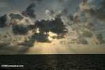 Sunrise on Turneffe Atoll [belize_0296]