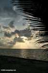 Sunrise on Turneffe Atoll [belize_0299]