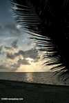 Sunrise on Turneffe Atoll [belize_0300]