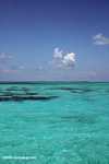 Turquoise waters of Lighthouse Reef