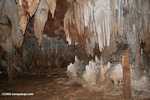 Stalactites in ATM cave