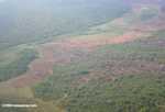 Aerial view of deforestation in Belize