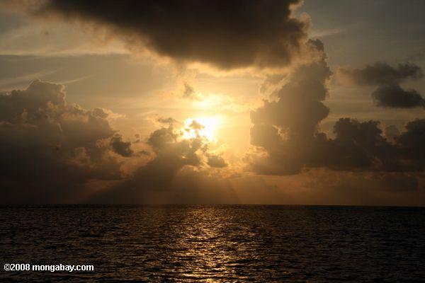 amanecer en el Caribe, visto desde la playa de Blackbird Caye