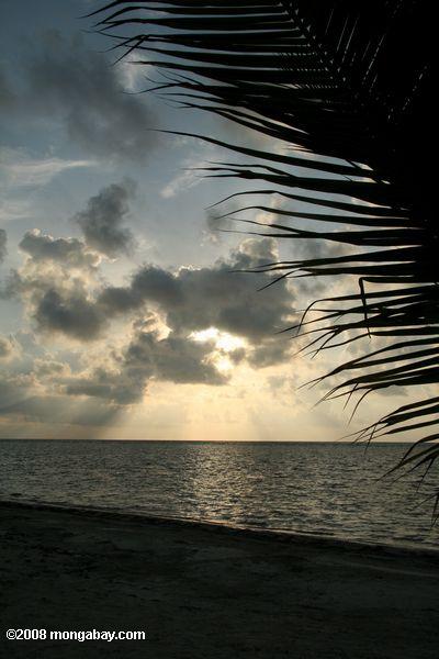 Salida del sol sobre el atolón de turneffe