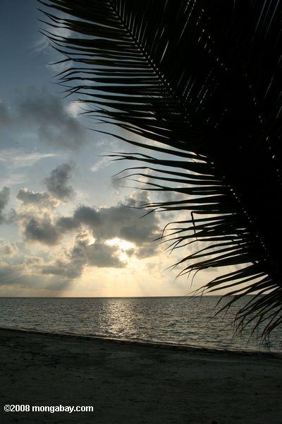 nascer do sol sobre Turneffe atol