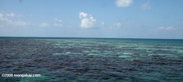 recife de coral azul buraco perto de parque nacional