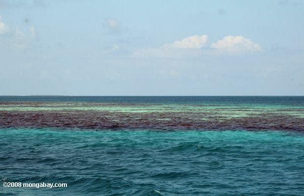 青い珊瑚礁穴国立公園の近く