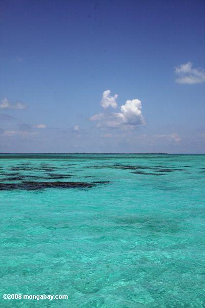 бирюзовый водах маяк риф