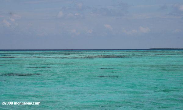 aguas color turquesa faro de arrecife