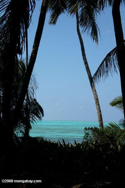 бирюзовый водах маяк риф, как видно из маяка caye