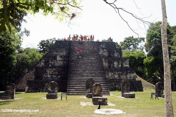 q en el complejo Tikal