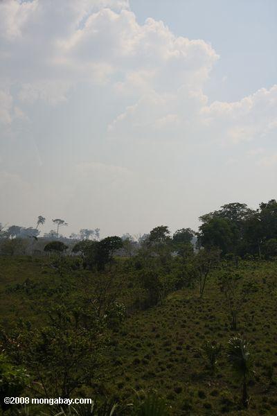 Brennen Savanne in Guatemala