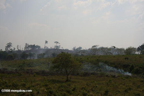 queima da savana na Guatemala