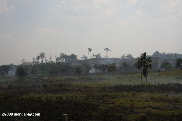la quema de la sabana para la agricultura en Guatemala