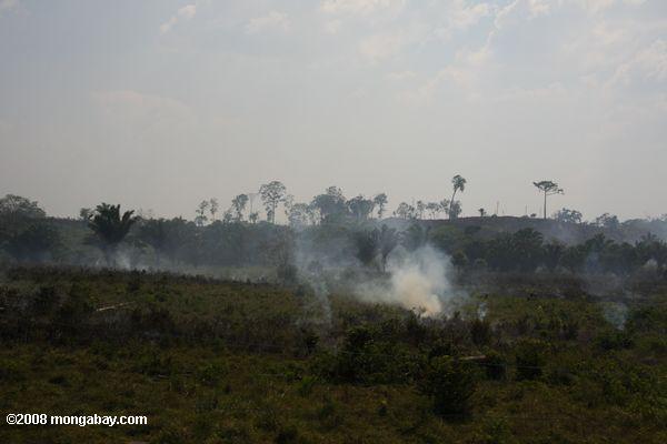 グアテマラでは農業用のサバンナ燃焼