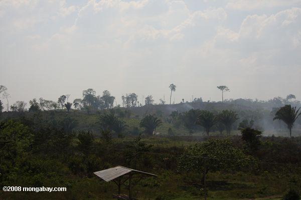 グアテマラでは農業用のサバンナ燃焼