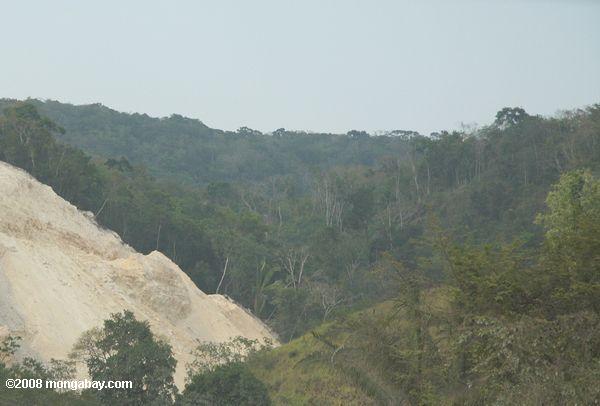 森林地の道路建設のための石灰岩の採掘