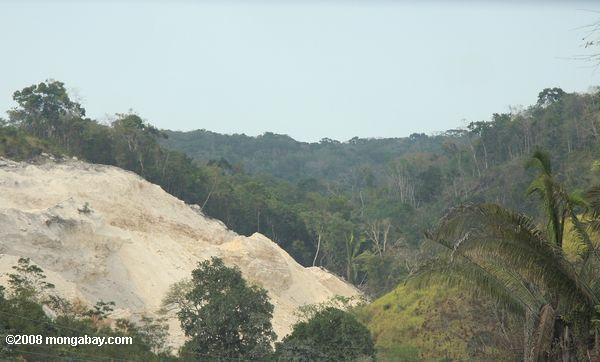 森林地の道路建設のための石灰岩の採掘