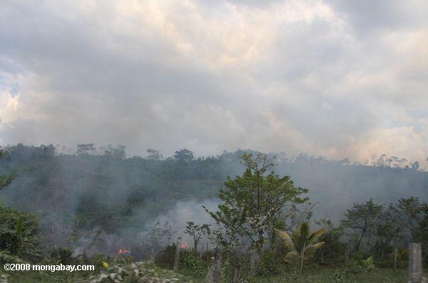 グアテマラの農地燃焼
