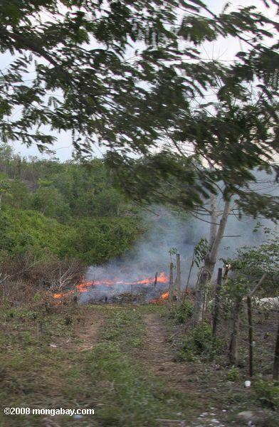 グアテマラの農地燃焼