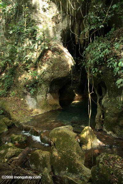Eingang zum actun tunichil muknal (ATM) Höhle