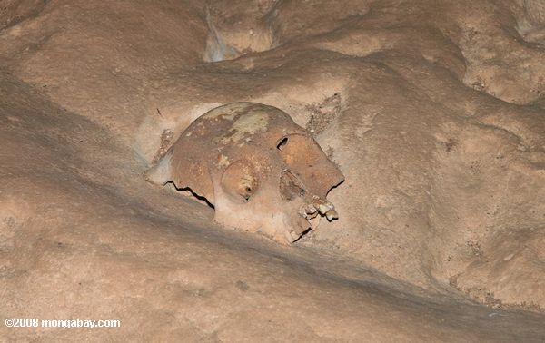 ATMに人間の頭蓋骨の洞窟
