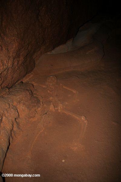 el cristal de soltera - un esqueleto humano femenino en atm cueva