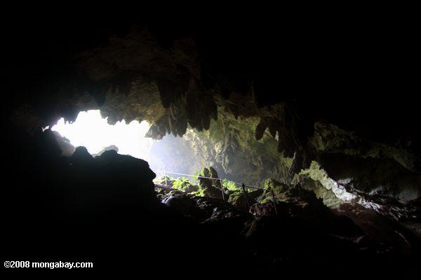 Entrée à St. Herman's Cave