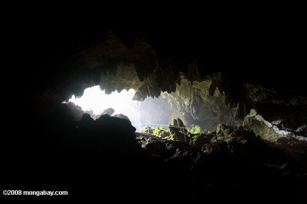 entrada para st. Herman's caverna