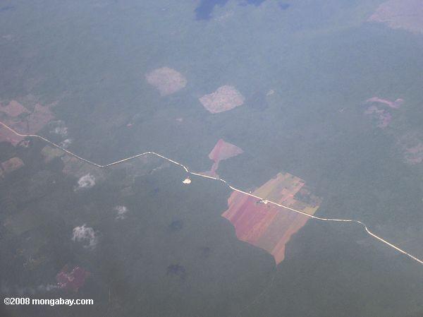 Vue aérienne de la déforestation au Mexique