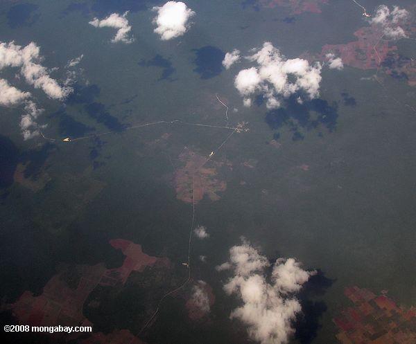 vista aérea do desmatamento no méxico