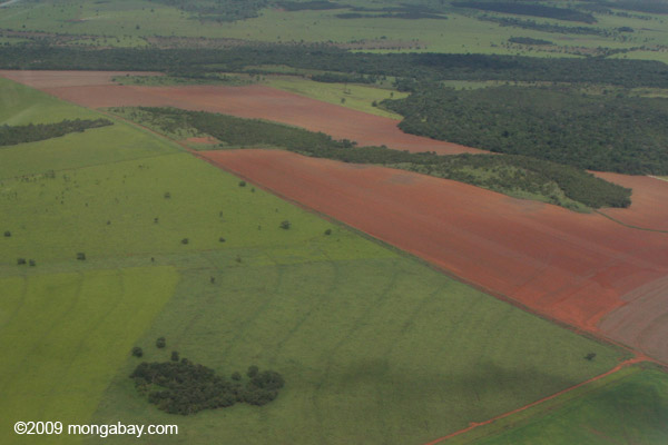 Rainforest fragments in a sea of soyfields in Mato Grosso, Brazil. Photo by Rhett A. Butler.