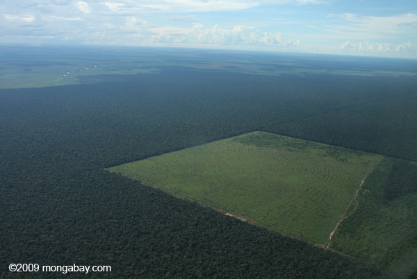 Clearing of Brazilian Amazon rainforest for soy. Photo by Rhett A. Butler.