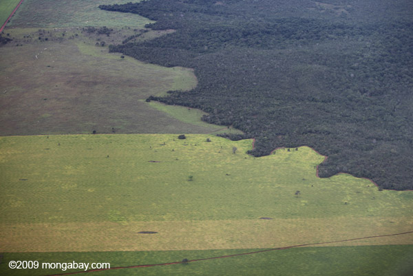 The Amazon rainforest meets cleared area for cattle pasture. A radical meteorology theory argues that loss of forest, both in temperate and tropical regions, will lead to less precipitation over land. Photo by: Rhett A. Butler.