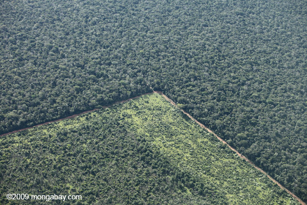 Recent deforestation in the Brazilian Amazon. Photo by: Rhett A. Butler.
