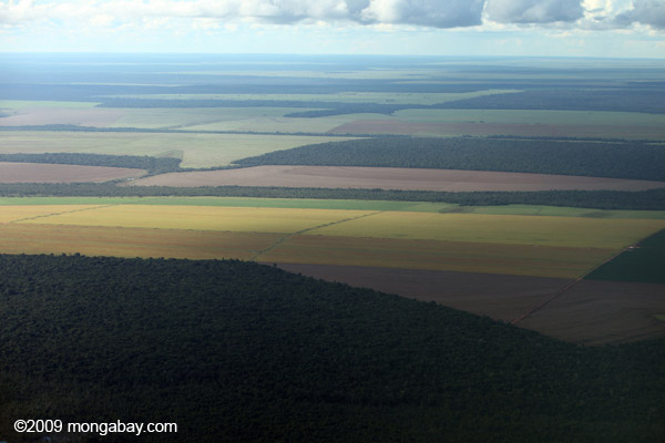 Distribución de reservas forestales legales, praderas y cultivos de soja en la Amazonia de Brasil. Fotografía de Rhett A. Butler / mongabay.com.