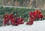 Many monks in red waiting for a bus