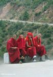 Monks waiting for a bus