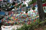 Oodles of prayer flags at Ringa temple
