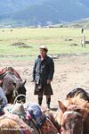 Tibetan cowboy standing among horses