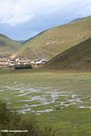 Wetland near a village in Tibetan Yunnan