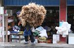 Woman carrying a load of hay on her back