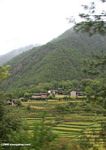 Village surrounded by mountains and rice paddies near Qizhong