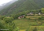 Village surrounded by mountains and rice paddies