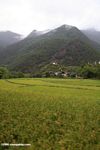 Village surrounded by mountains and rice fields in Yunnan