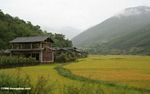 Village surrounded by mountains and rice paddies in southern China