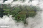 Terraced rice fields in northwestern Yunnan